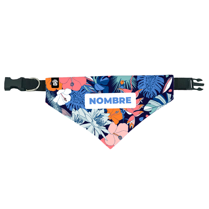 bandanas para mascotas