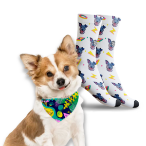 bandanas para mascotas y calcetines personalizados