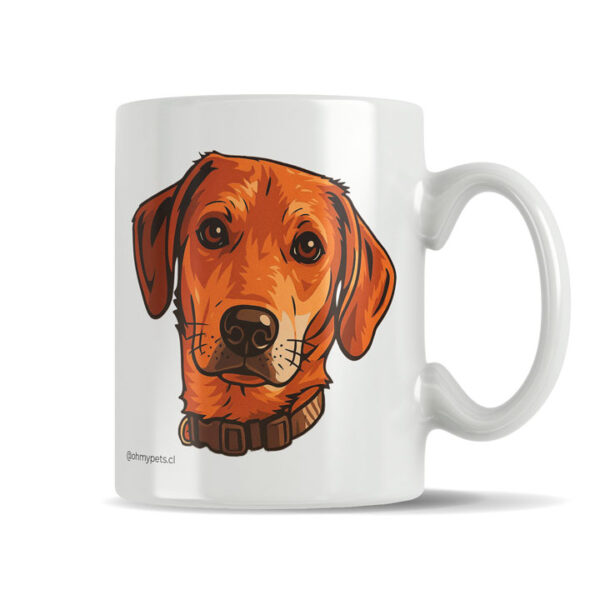 Tazones Personalizados Mascotas 4 - Imagen 2